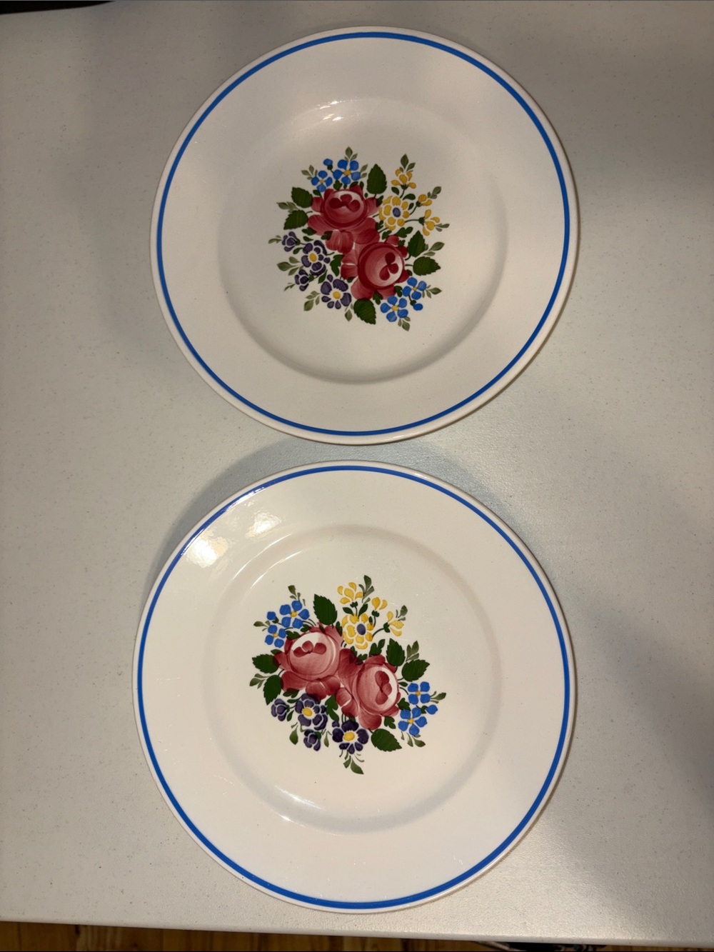 Vintage Waechtersbach GERMANY Rose Dec.2540 hand painted salad plates pair
